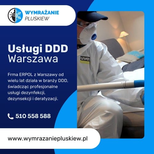 Usługi DDD Warszawa