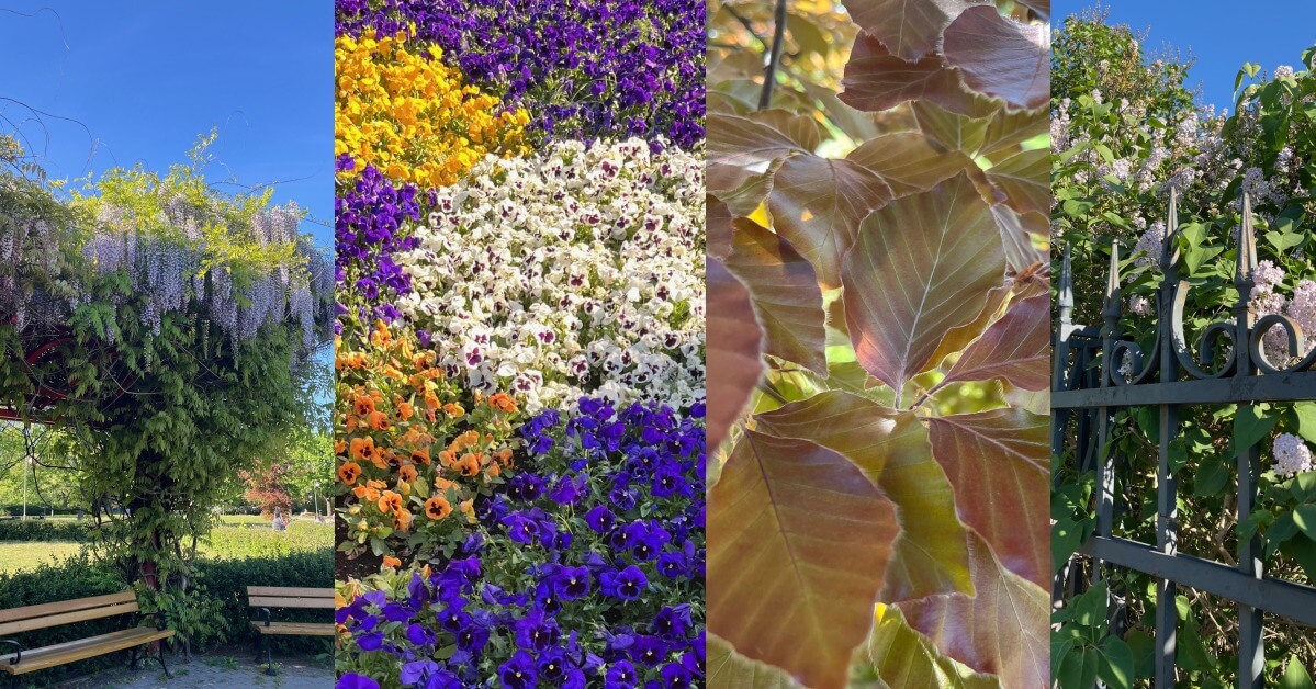 Spacer botaniczny Warszawa